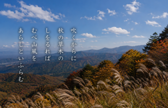 吹くからに 秋の草木の しをるれば むべ山風を あらしといふらむ